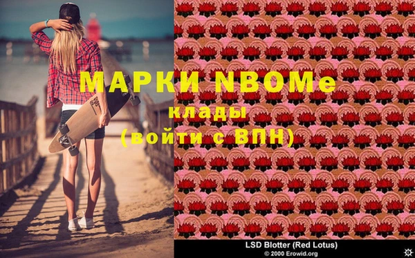 ГАЛЛЮЦИНОГЕННЫЕ ГРИБЫ Пересвет