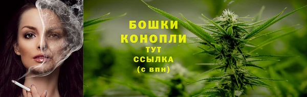 молекула духа Зерноград