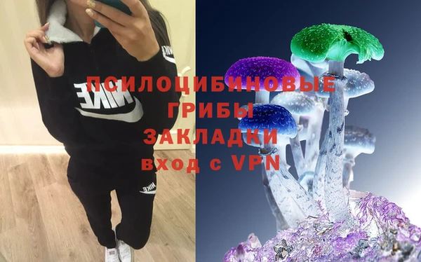 молекула духа Зерноград