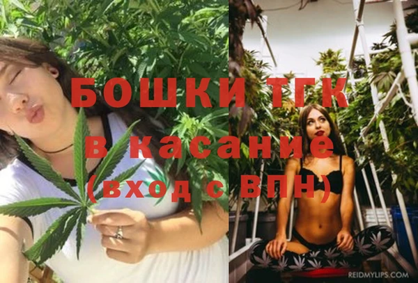 молекула духа Зерноград