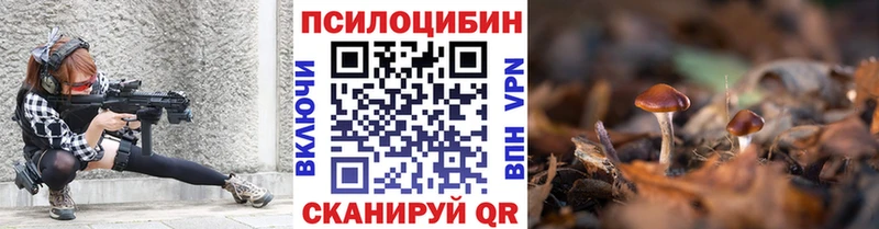 Псилоцибиновые грибы ЛСД  Купить закладки  Дудинка 